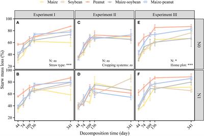 Maize/peanut intercropping has greater synergistic effects and home-field advantages than maize/soybean on straw decomposition